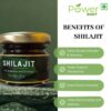 100% Organic pure shilajit