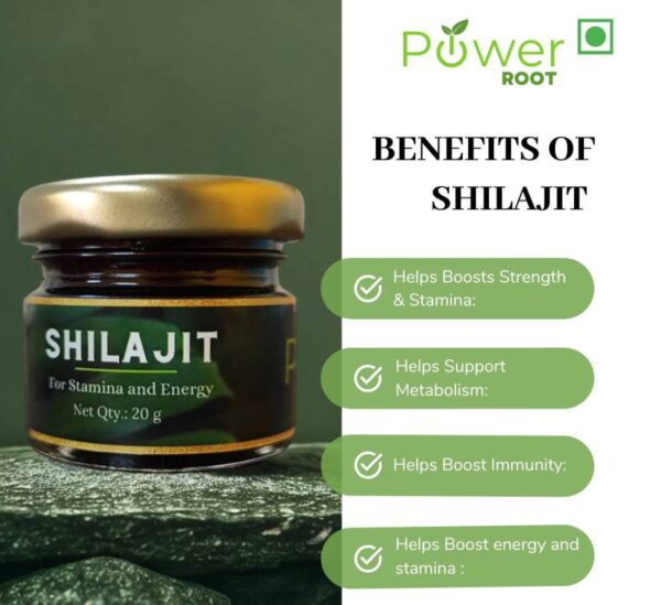 100% Organic pure shilajit